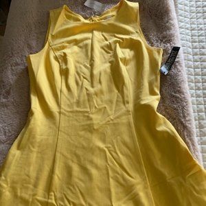 NWT A-line dress with pockets